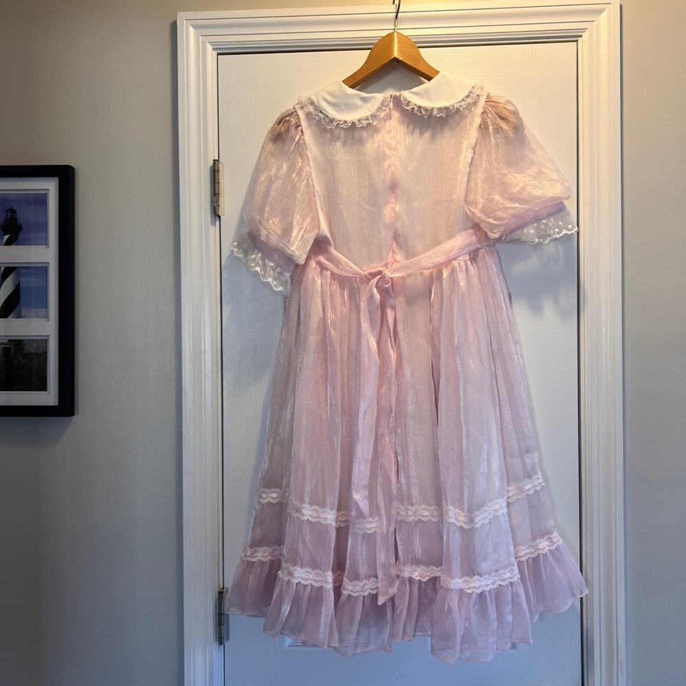 Pink Sheer Ruffled Dress - Picture 6 of 9